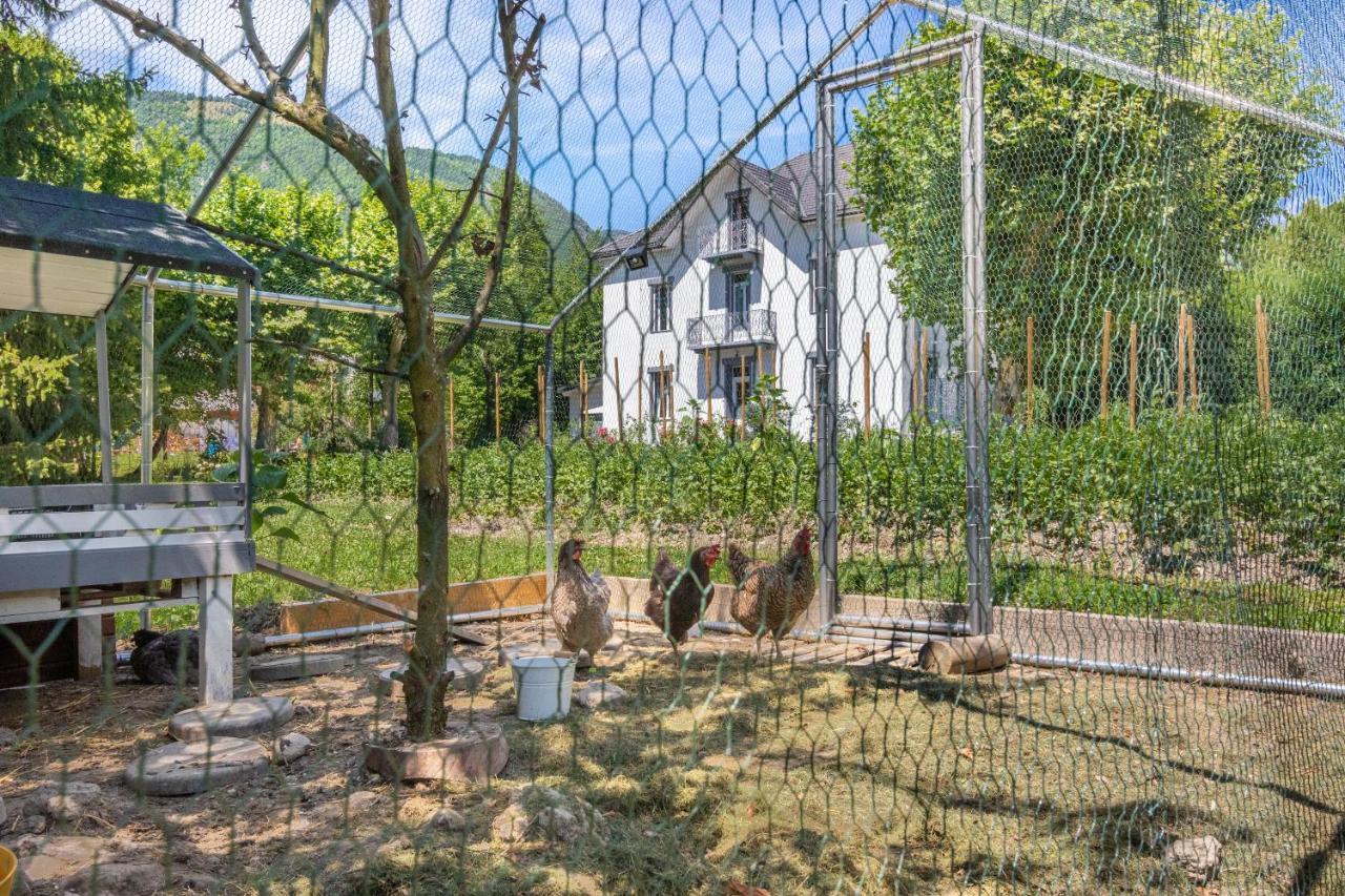 La Chambre Le Clos Grillet المظهر الخارجي الصورة